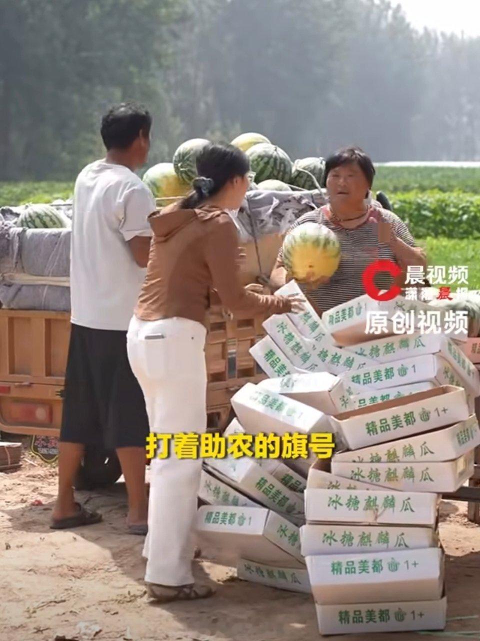 滞销西瓜被网红压价到一毛多一斤这群垃圾网红不仅直接损害瓜农利益，让农户一年的劳作