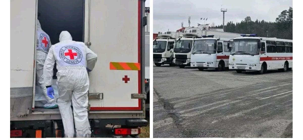 俄乌双方今天进行了一次阵亡士兵遗体交换，俄军移交1000具乌军士兵遗体，乌军移交