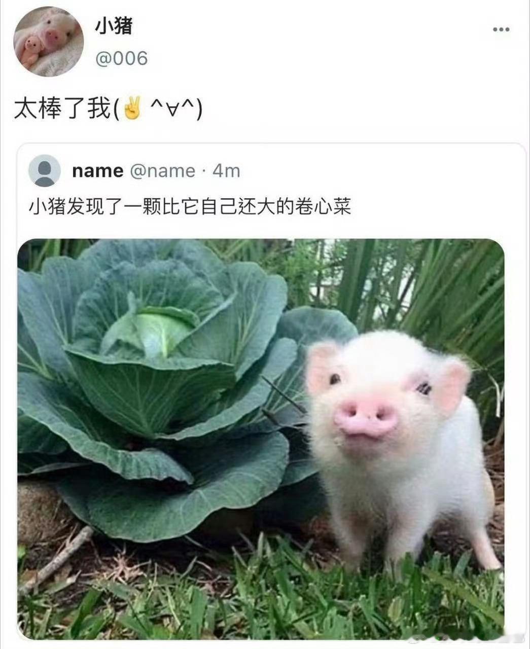 分享图片 