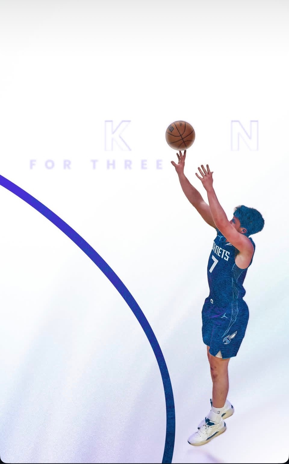 蜂的美工突然进化 