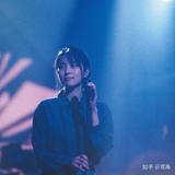 小毛狗爱看汽车