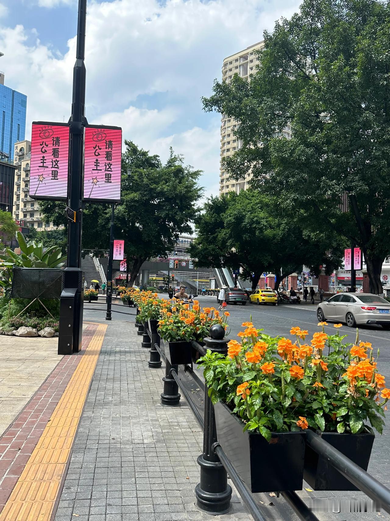 【重庆太宠粉了，鲜花加持宠粉灯牌】9月29日，渝中区民族路，道路两旁换上了鲜艳的