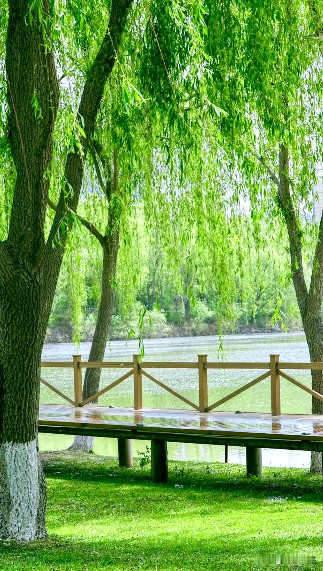 上联：夏雨荷花艳
下联：晚风柳叶柔