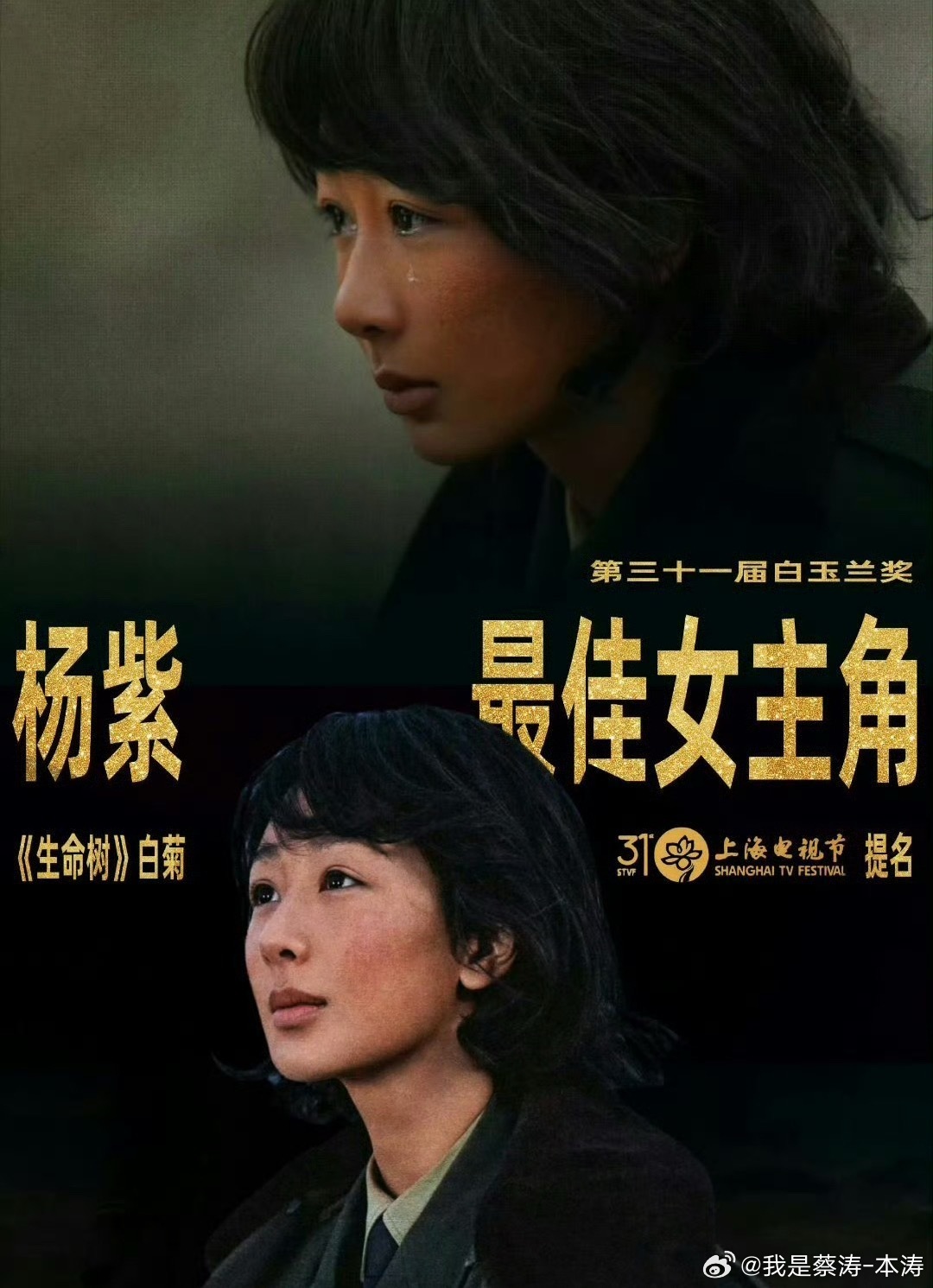白玉兰最佳女主杨紫杨紫有点儿实力呀…你们90后童年一起长大的孩子明星…现在都三十