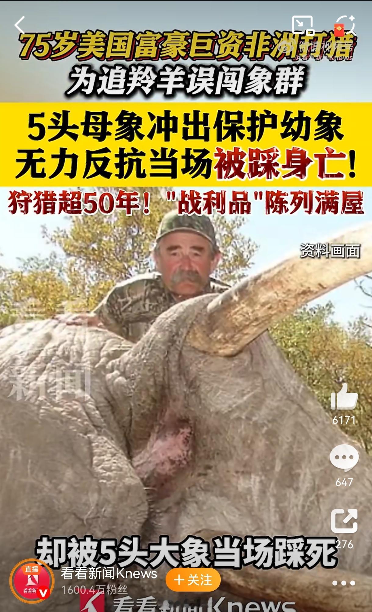 美国富豪遭5头大象踩踏身亡“多西奥已有50多年狩猎经验，他在加州的家中，就有一个