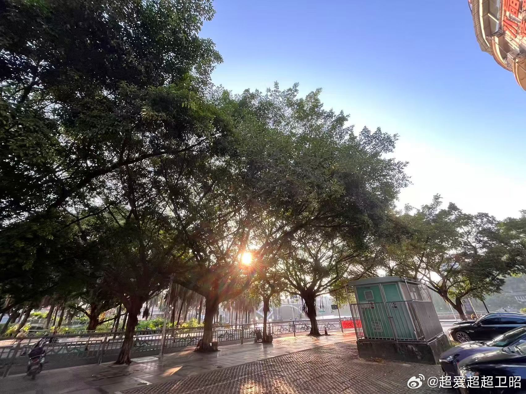 早安 只要面对阳光努力向上，日子就会变得单纯而美好，早安 