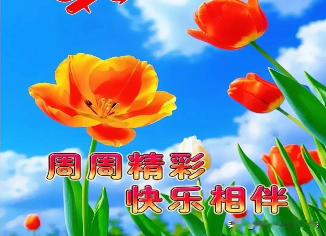 下午好友！周五快乐！
佳作欣赏！文采斐然！
精彩纷呈！妙笔生花！
才华横溢！点赞