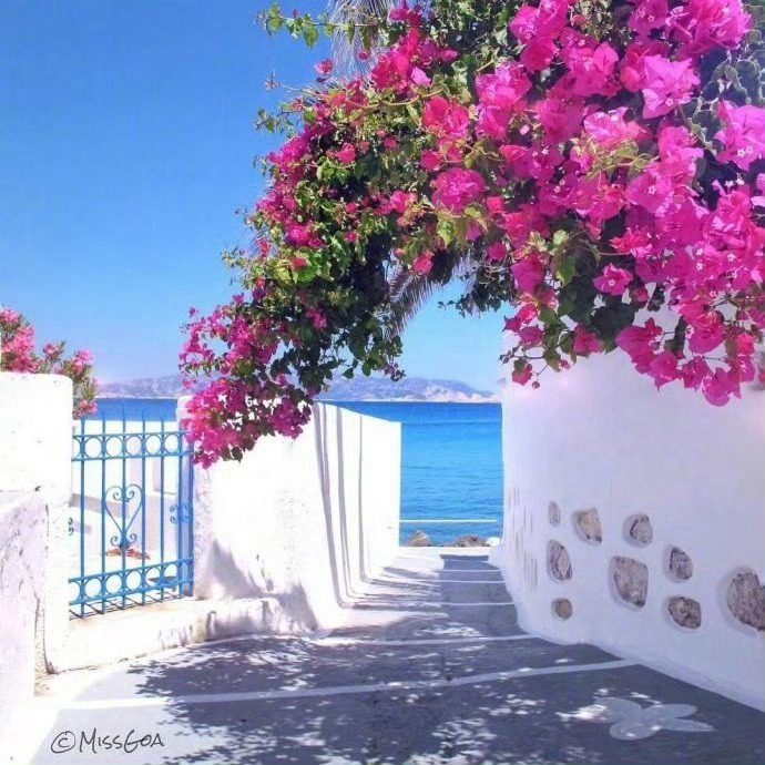 【这里是希腊】最接近天堂的小岛——希腊米科诺斯岛。旅游旅游