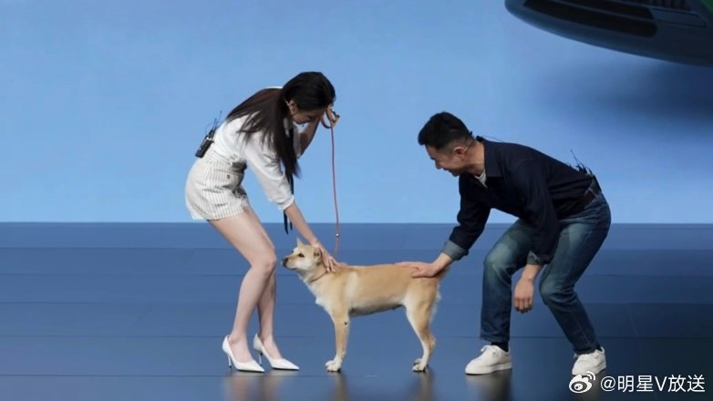 陈都灵聊宠物出行太共情了 谁还没看陈都灵聊宠物！她说的那些带宠物出门的日常，什么