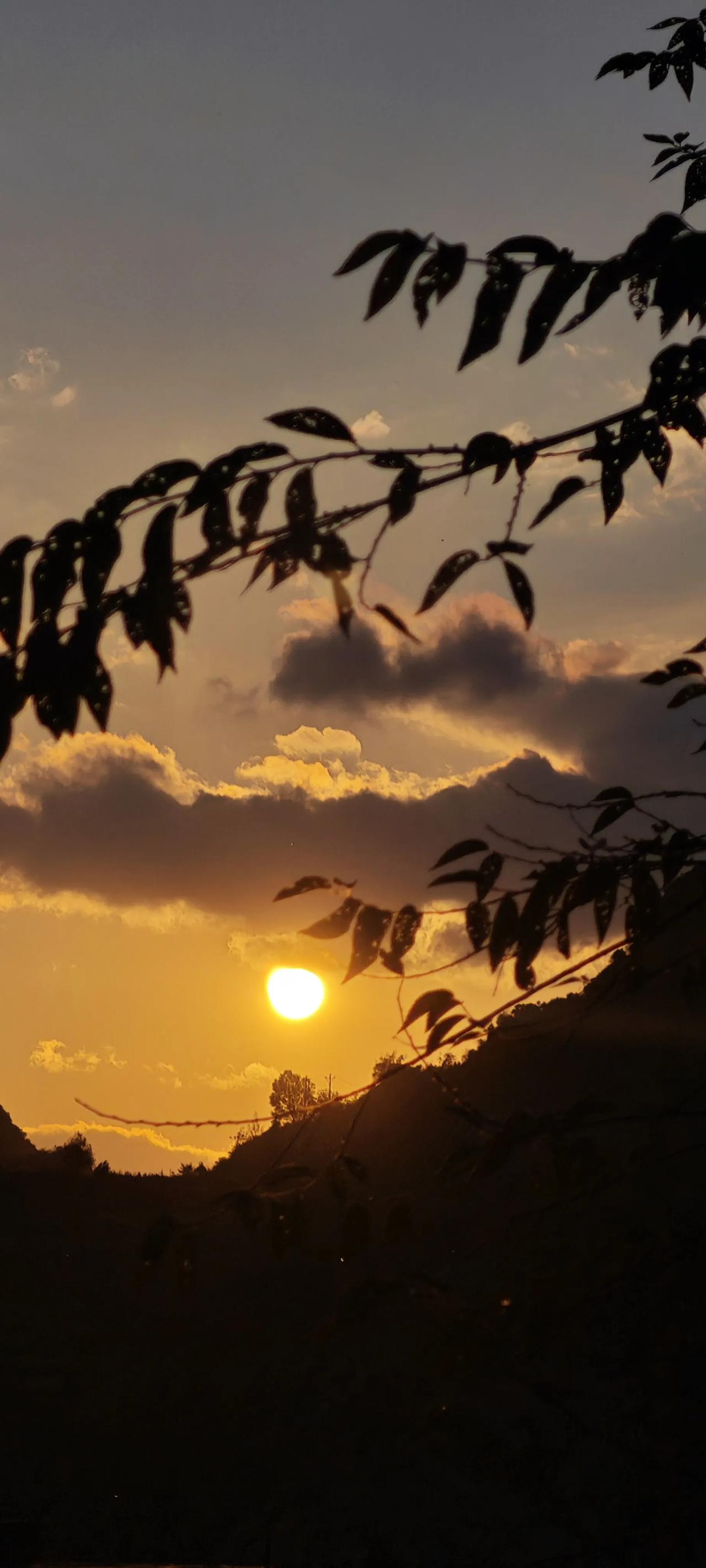 #分享一下你随手拍下来的夕阳#秋日夕阳
