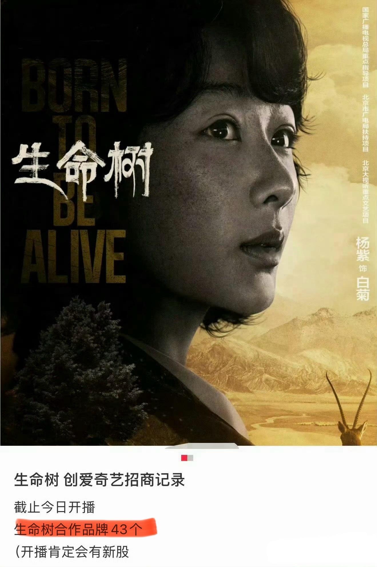 杨紫胡歌的《生命树》还没开播，广告好多啊！生命树生命树破平台招商记录