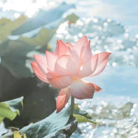 早安娱乐