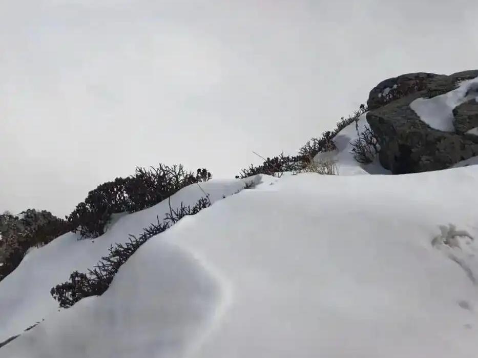 我国降雪最多的地区，将迎来今年第一特大暴雪，会有多大？

说到我国降雪最多的地方