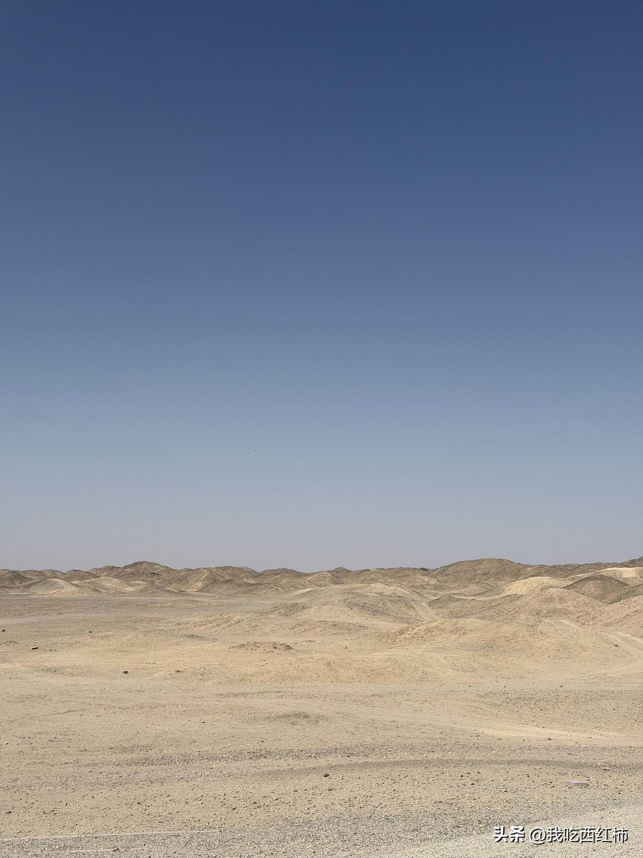 张雪峰让我想起了刘战伟，身价百亿，死在了大早上的北京高铁站，当时旁边只有妻子，都