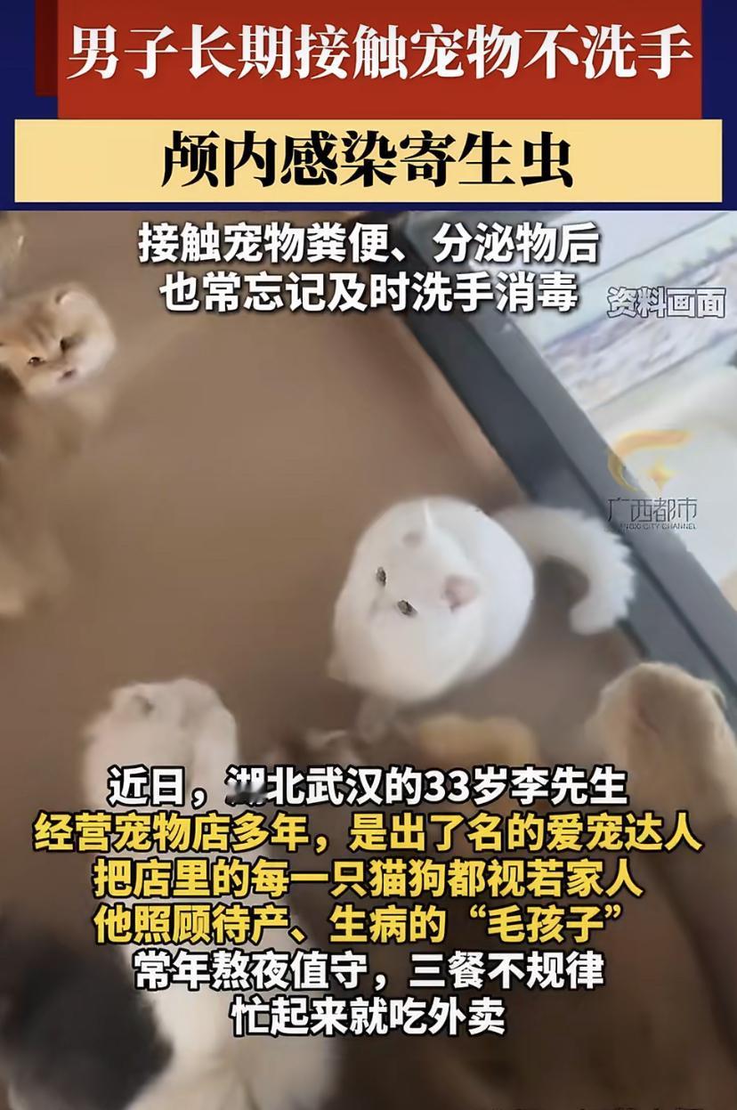 武汉一宠物店老板头疼多年，以为只是太累，结果脑子里竟然取出活虫!
33岁的李先生