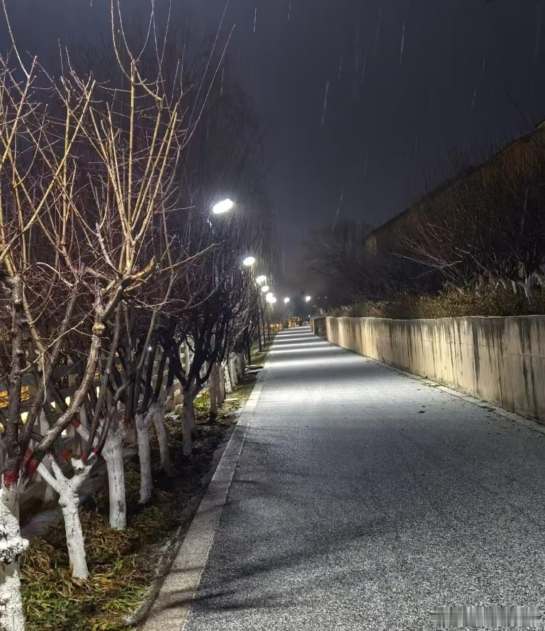 今天初雪 动动～ 