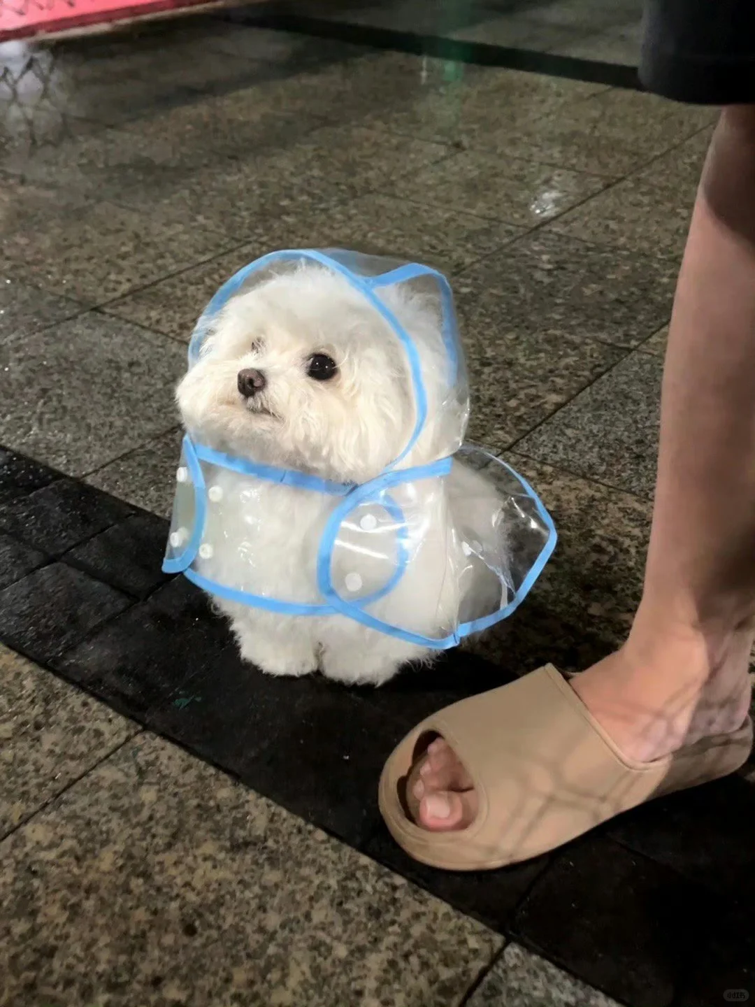 宝宝雨衣穿了，但雨停了…