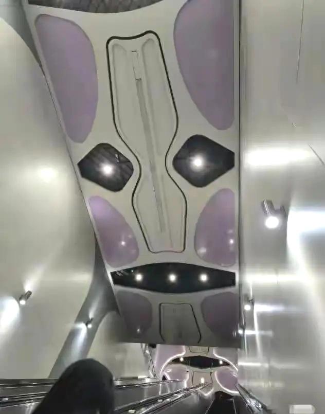 没见过这么鬼异的天花板造型!
成都地铁9号线锦城大道站，电梯区域的天花板灯具造型