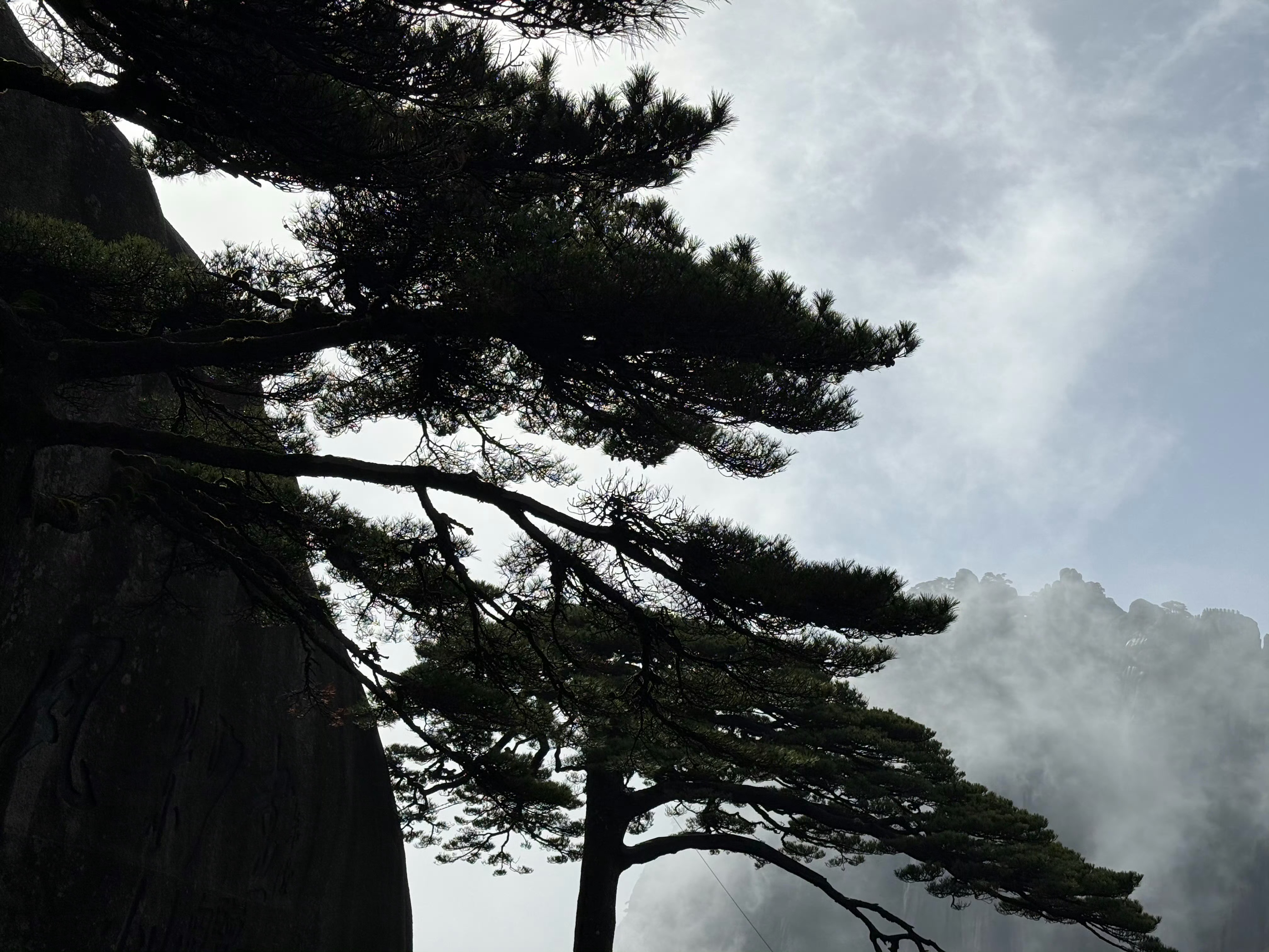 回来了，累惨了 宣城