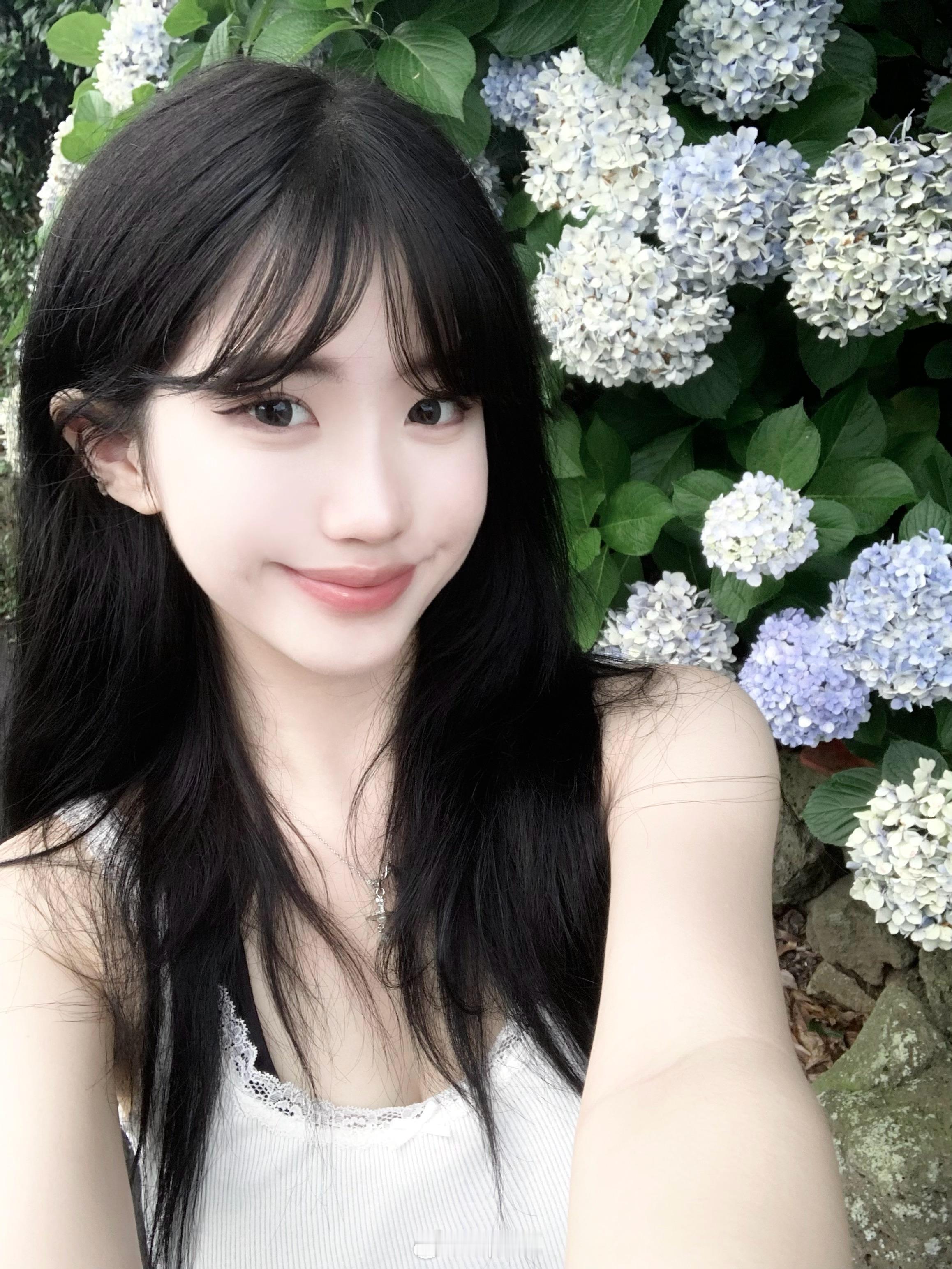 过期的紫阳花 ​​​