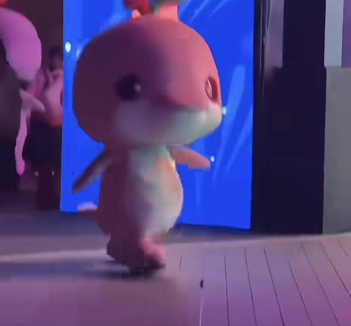 大湾鸡集体洗白白
大湾鸡洗澡迎残特奥会
网友在社交平台发布照片“喜洋洋”“乐融融