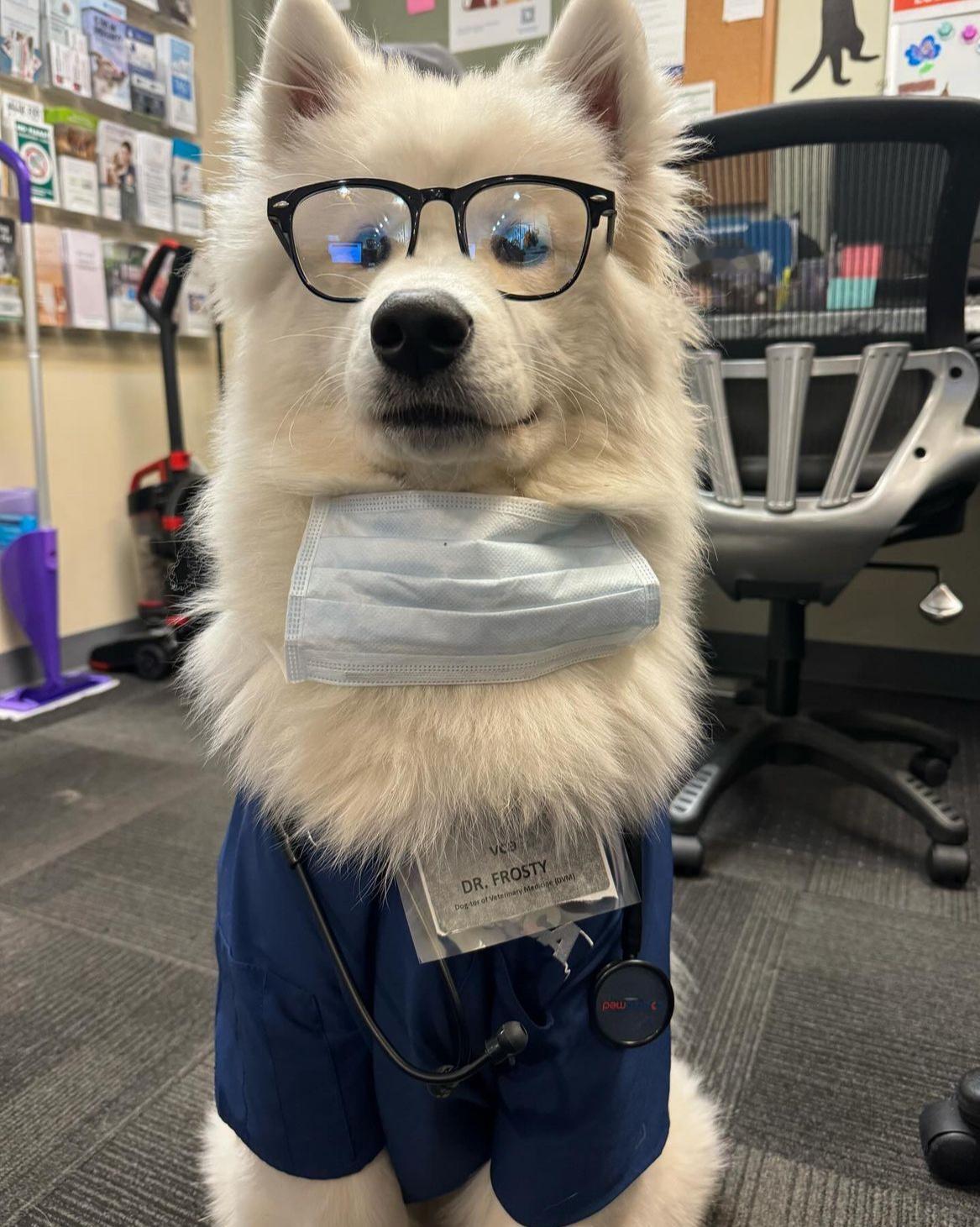 你好，我是耶医生，请问哪里不舒服吗？哦，是吗，一天不吸小狗浑身不自在吗，明白明白