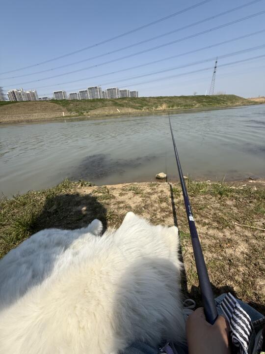 带着小狗🐶去钓鱼🎣