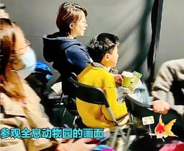 岁月匆匆五十载，董卿携子露面来。头发凌乱显憔悴，儿似母颜侧影猜。

#我来唠家常