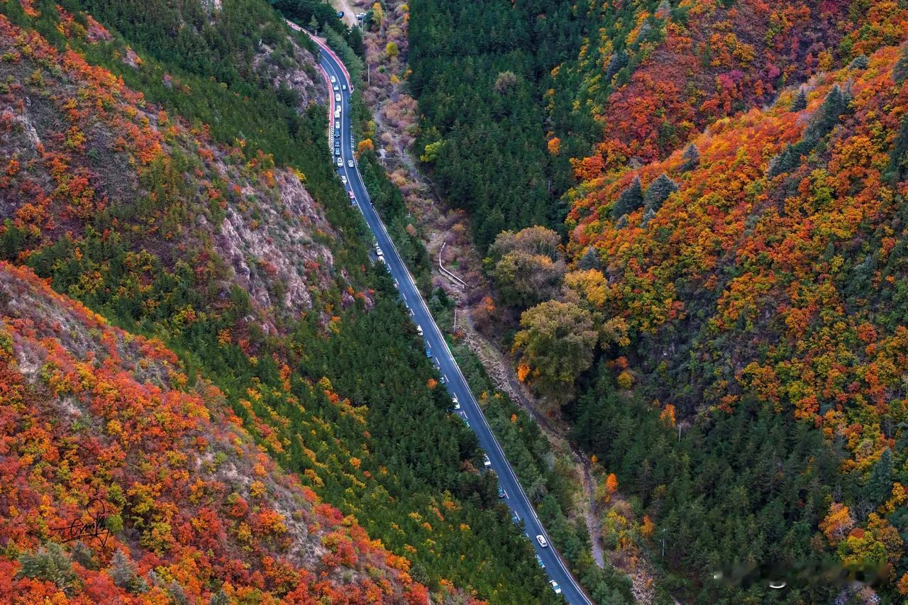 【秋染兴隆山 诗画醉榆中🍁】

🍂“兴隆之巅，美景绝伦，红叶情深韵最浓”。