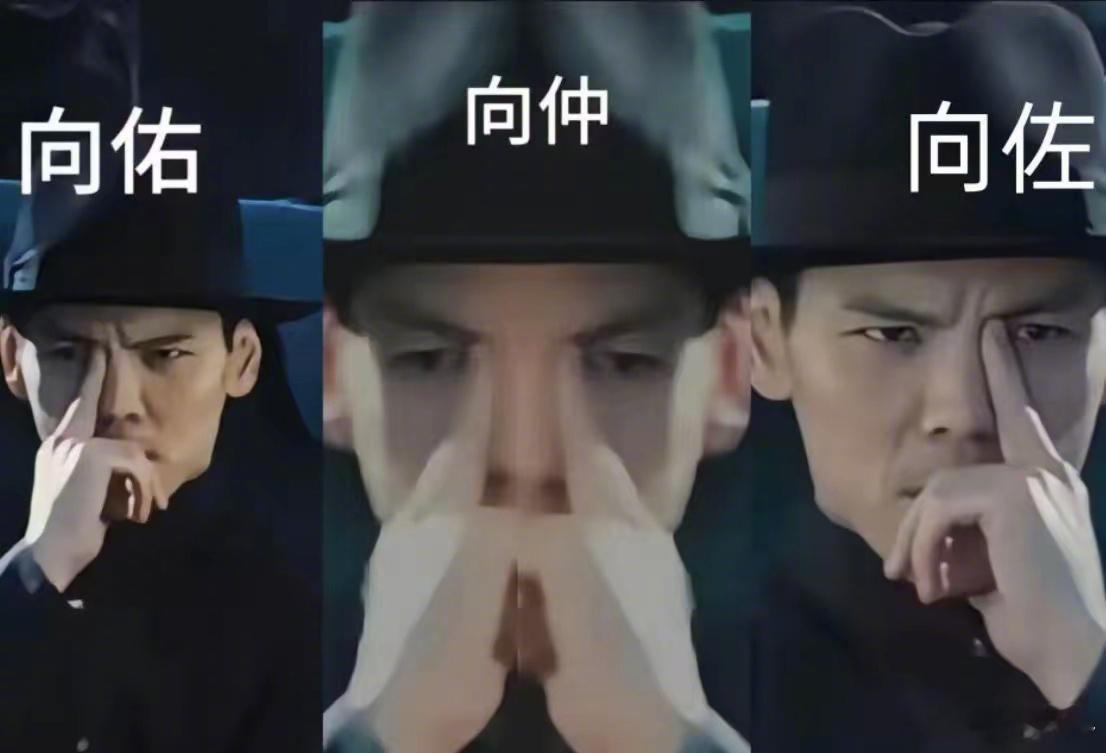 #向佐回复费曼# 向佐摸鼻梁真的大出圈，除了网友们玩梗、模仿、造表情包，就连费曼