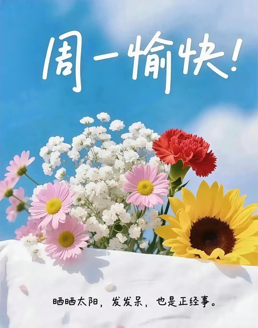 周一愉快！晒晒太阳发发呆，让鲜花治愈心情，忙碌里也要偷闲。
今日打卡早安心语
