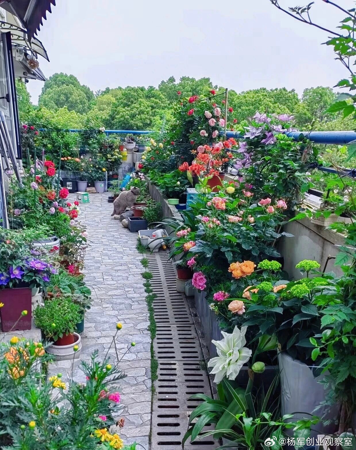 期股激励，绝不是“分股票”那么简单。分得好，上下同心；分不好，后患无穷。关键一：