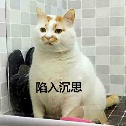 最适合双子座的一句话哲学就是“我思故我在”，双子可以质疑一切，也会因为好奇心而对