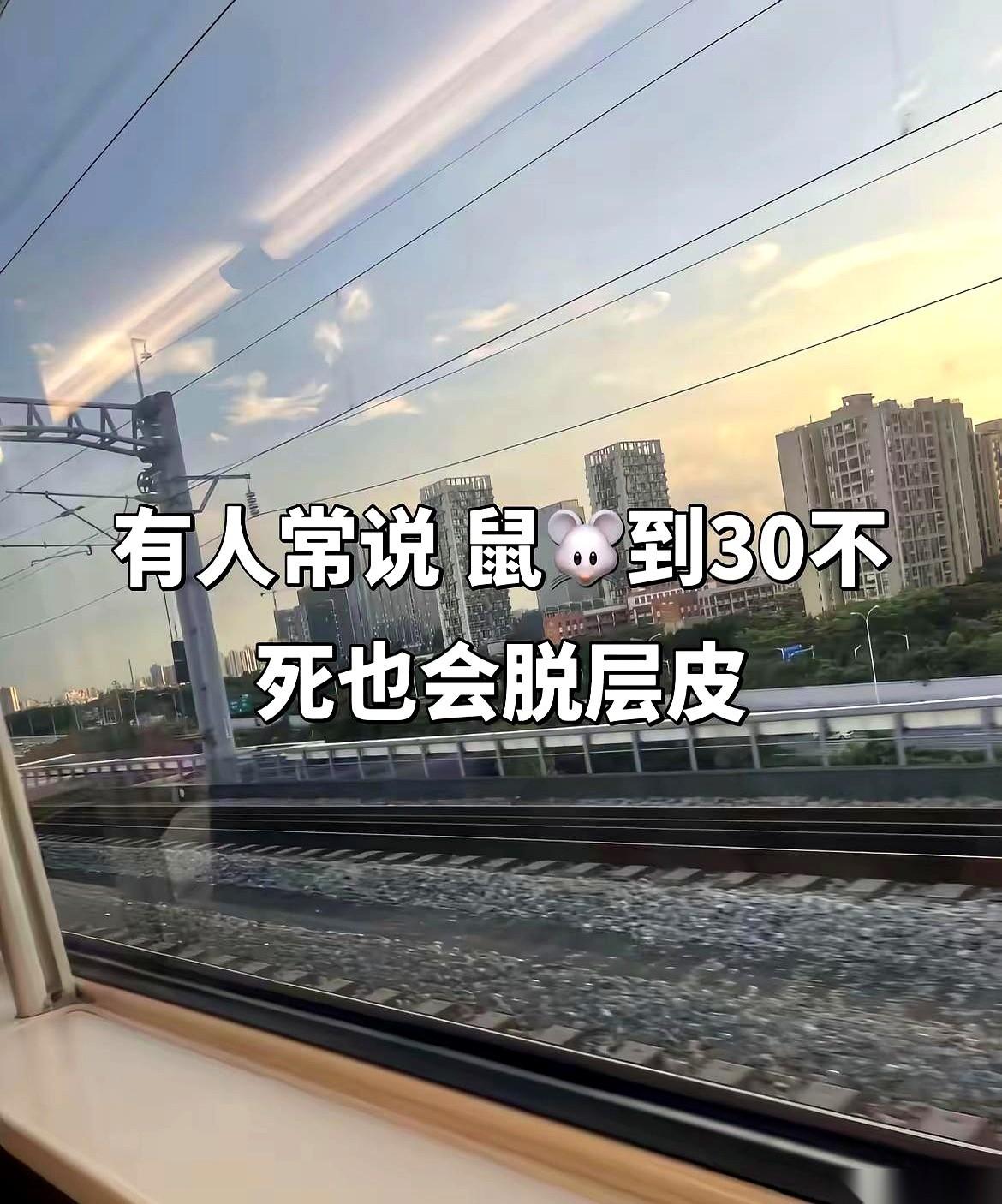 以前听人说，96年的鼠到了三十岁这道坎，不死也得硬生生脱层皮。
我当时连白眼都懒