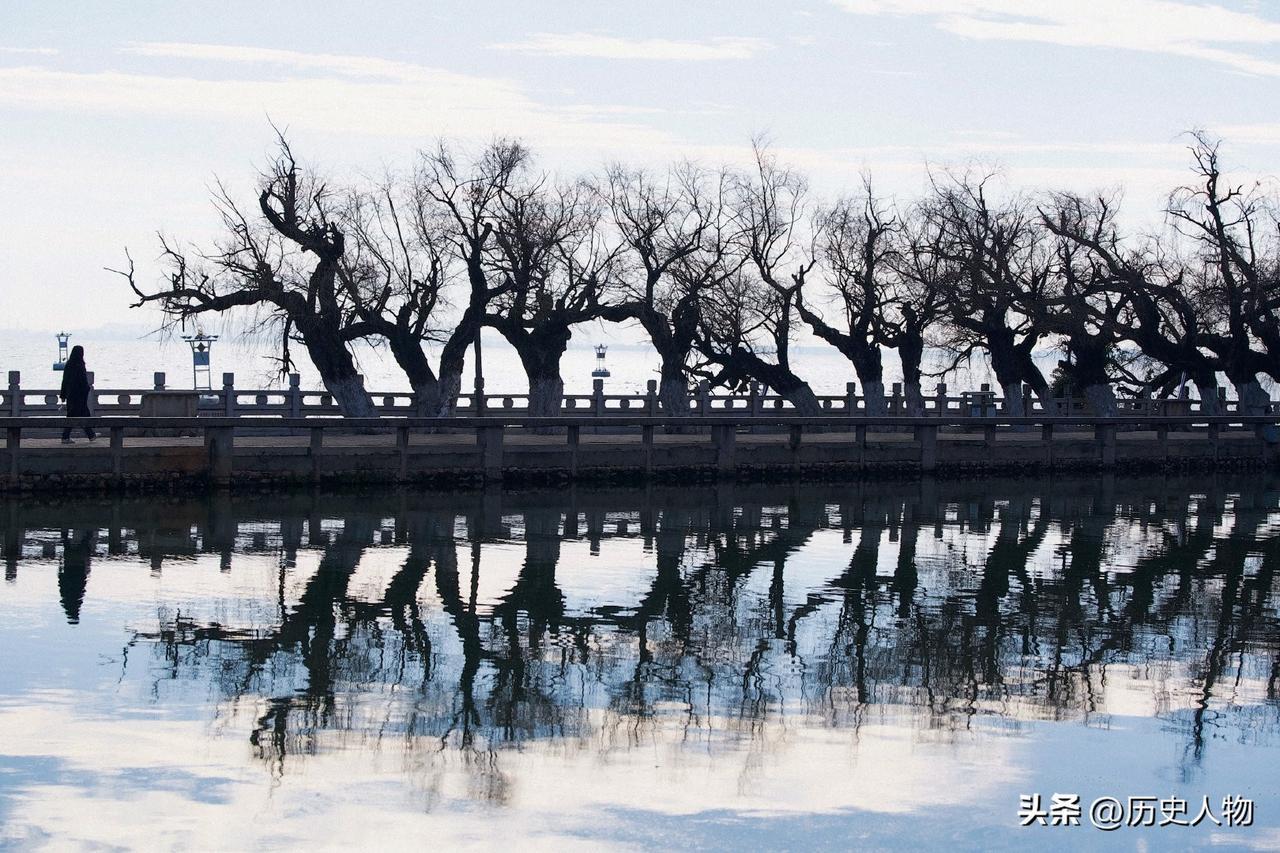 湖边的枯树倒映在水中，景色宁静优美。