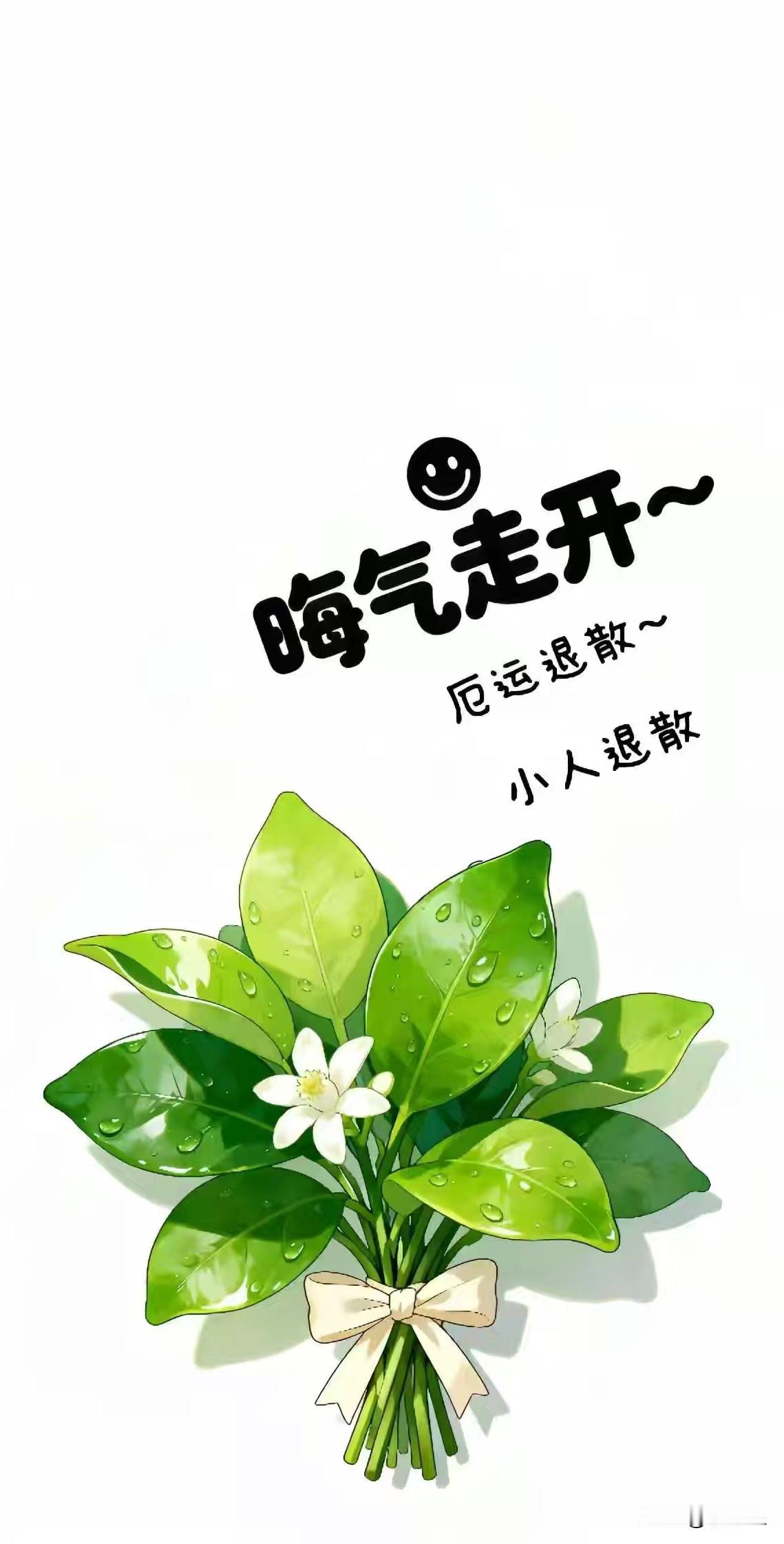 早上起来拍一拍，
把晦气全拍走，
小人全打跑。
又是好运满满的一天。