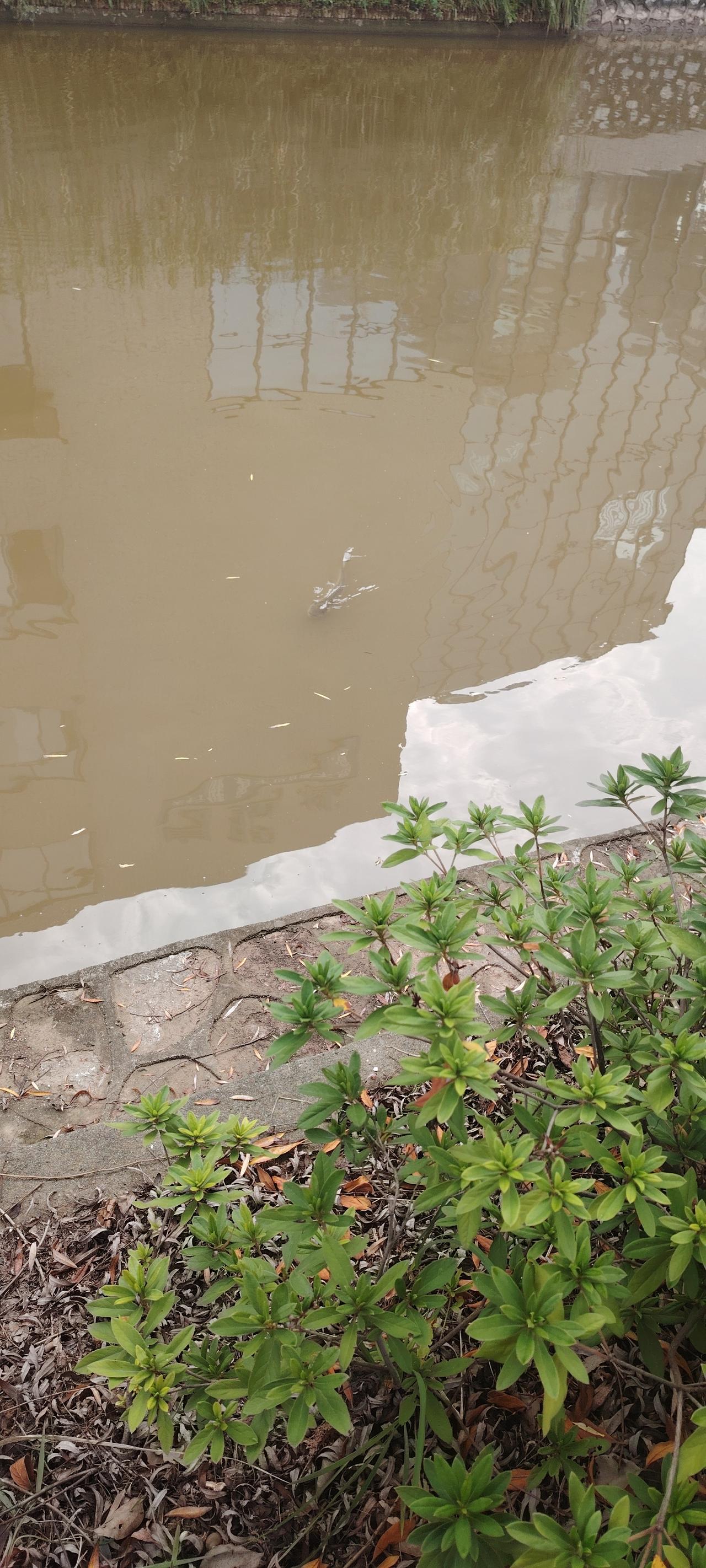 很乐意去高中接侄女放月假回家。
家长都一样的心情，兴冲冲去学校接自己的宝贝疙瘩。