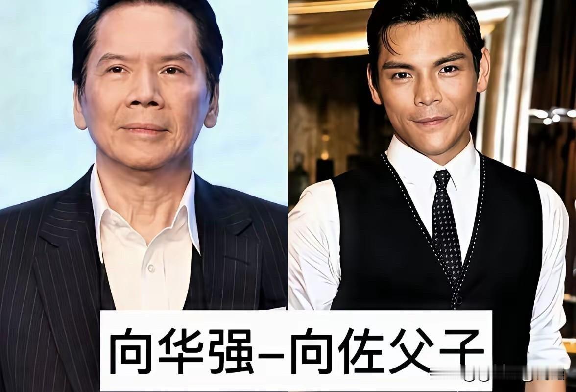 娱乐圈里星二代不少，但能超越父辈的寥寥无几。

先说向华强和向佐：这辈子唯一捧不
