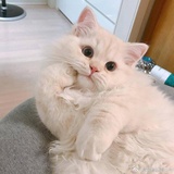 轻溪热说科技