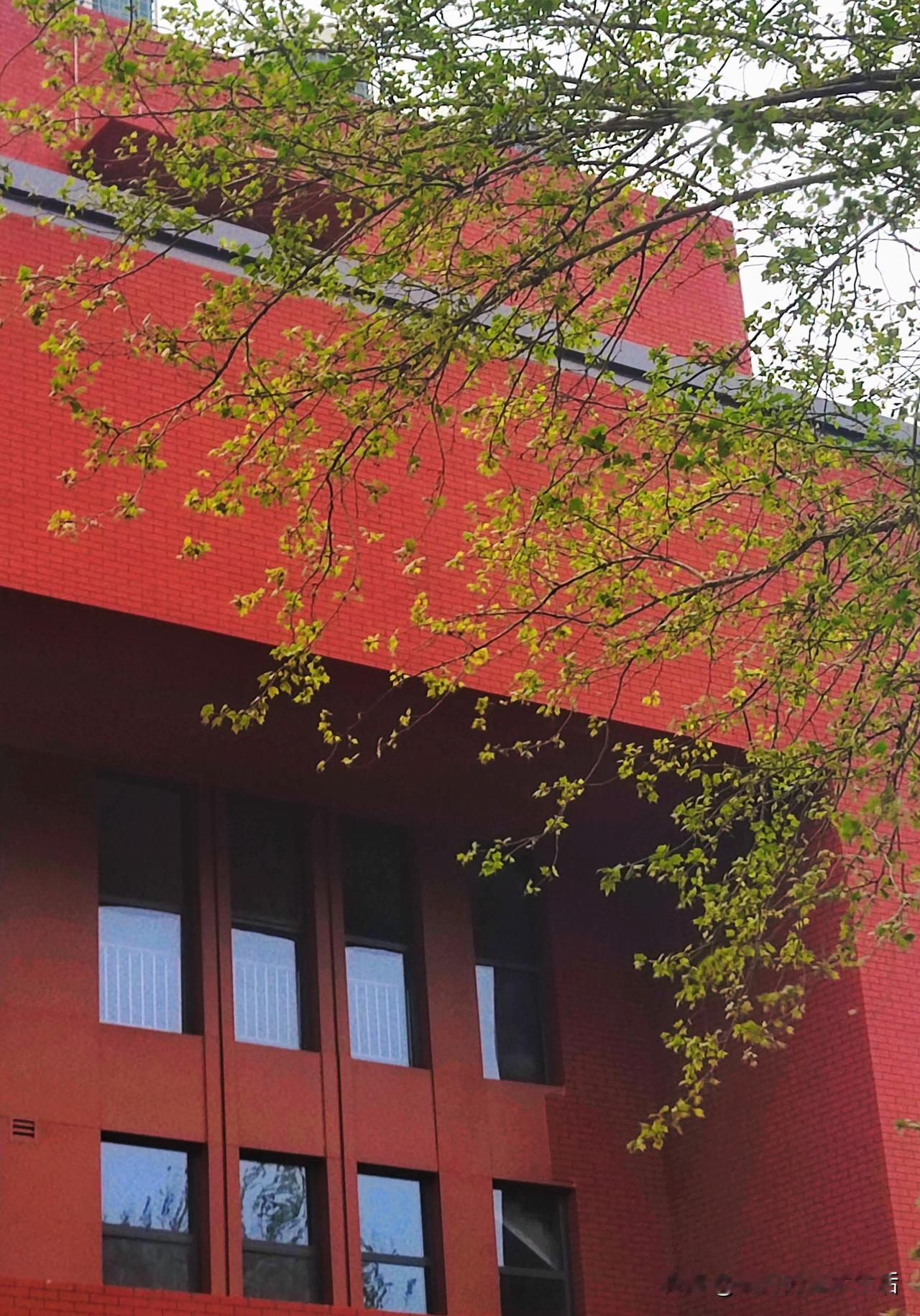 四月的雨，轻轻
挡不住闲下来的脚步

去见丁香
那没有愁绪的姑娘
去见紫藤，见海