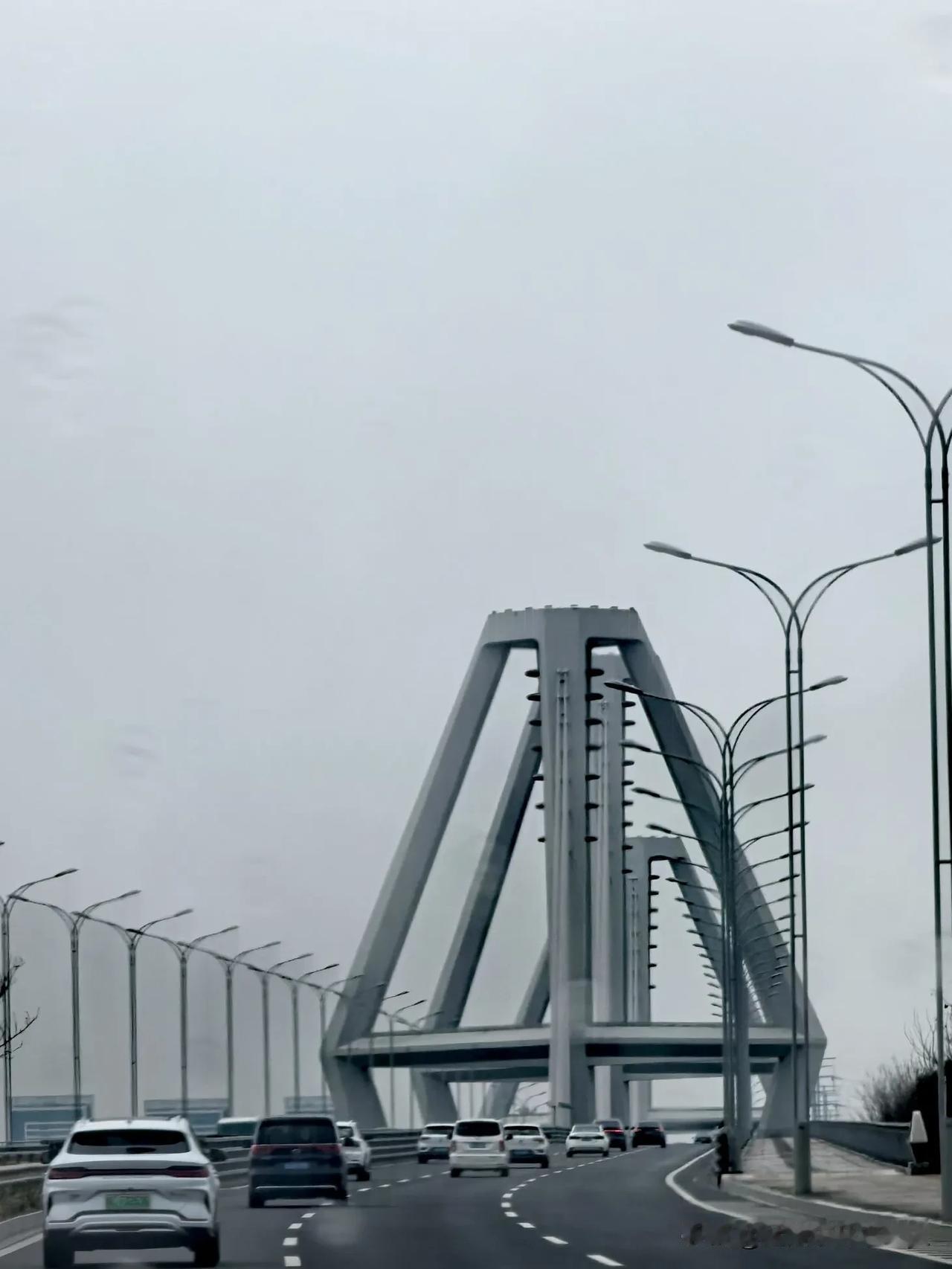 路过宜兴，看到了一座有特色的大桥。