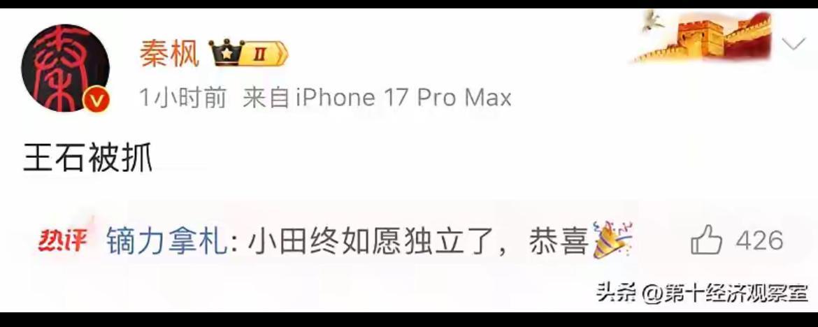秦枫爆料老王被抓，老王年轻的小老婆否认。
老王会不会被抓？看看某大就知道了。
某