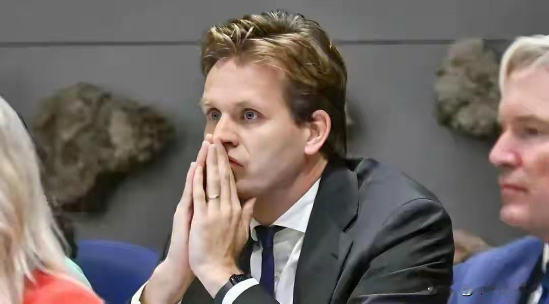 荷兰大臣：没想到中方叫停芯片出口

荷兰这次真是搬起石头砸自己的脚。本来好好的商