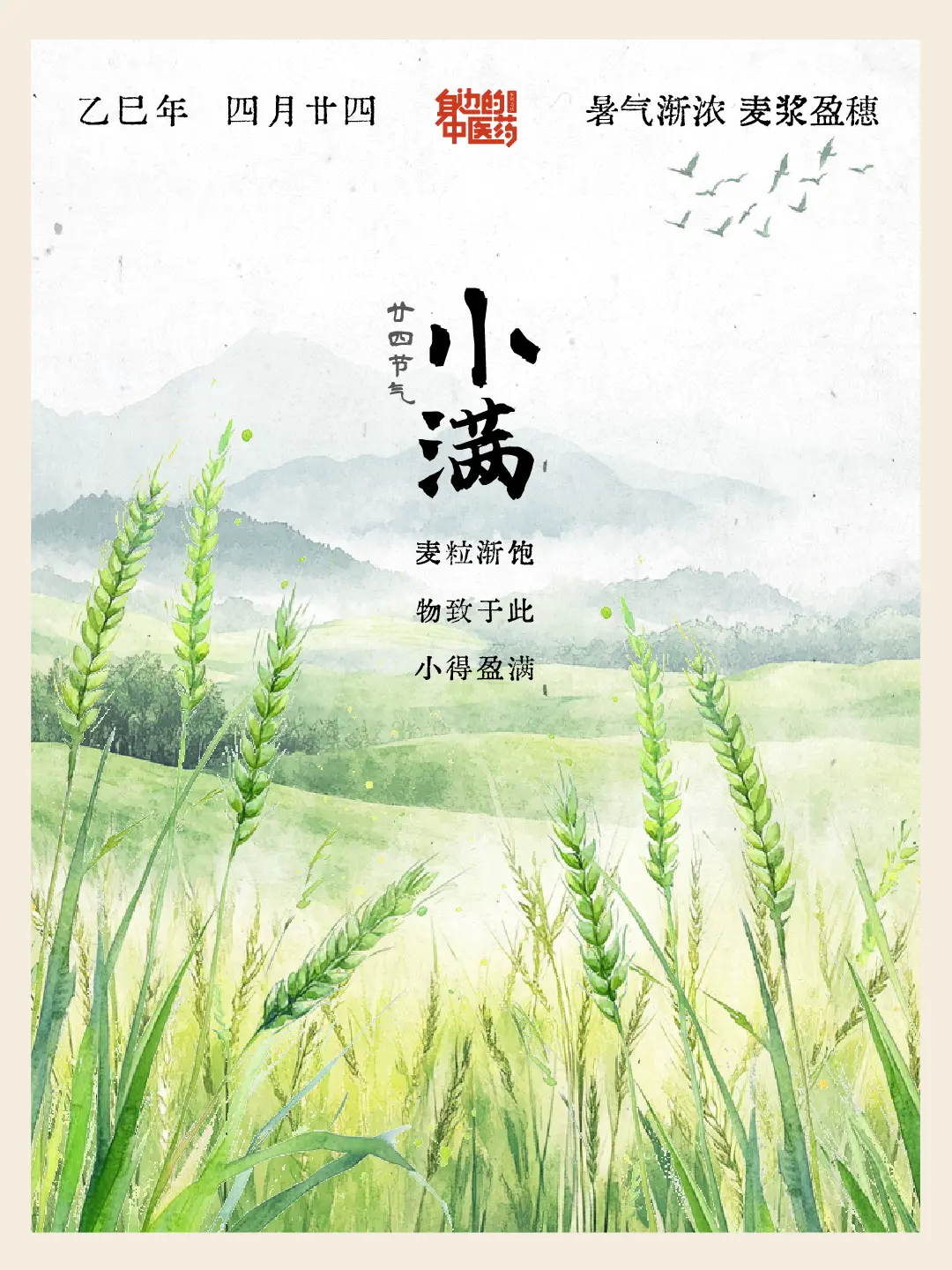 小满・逐梦正当时。蝉鸣渐起，麦浪翻金，枝头青梅初泛碧色，正是小满好时节...