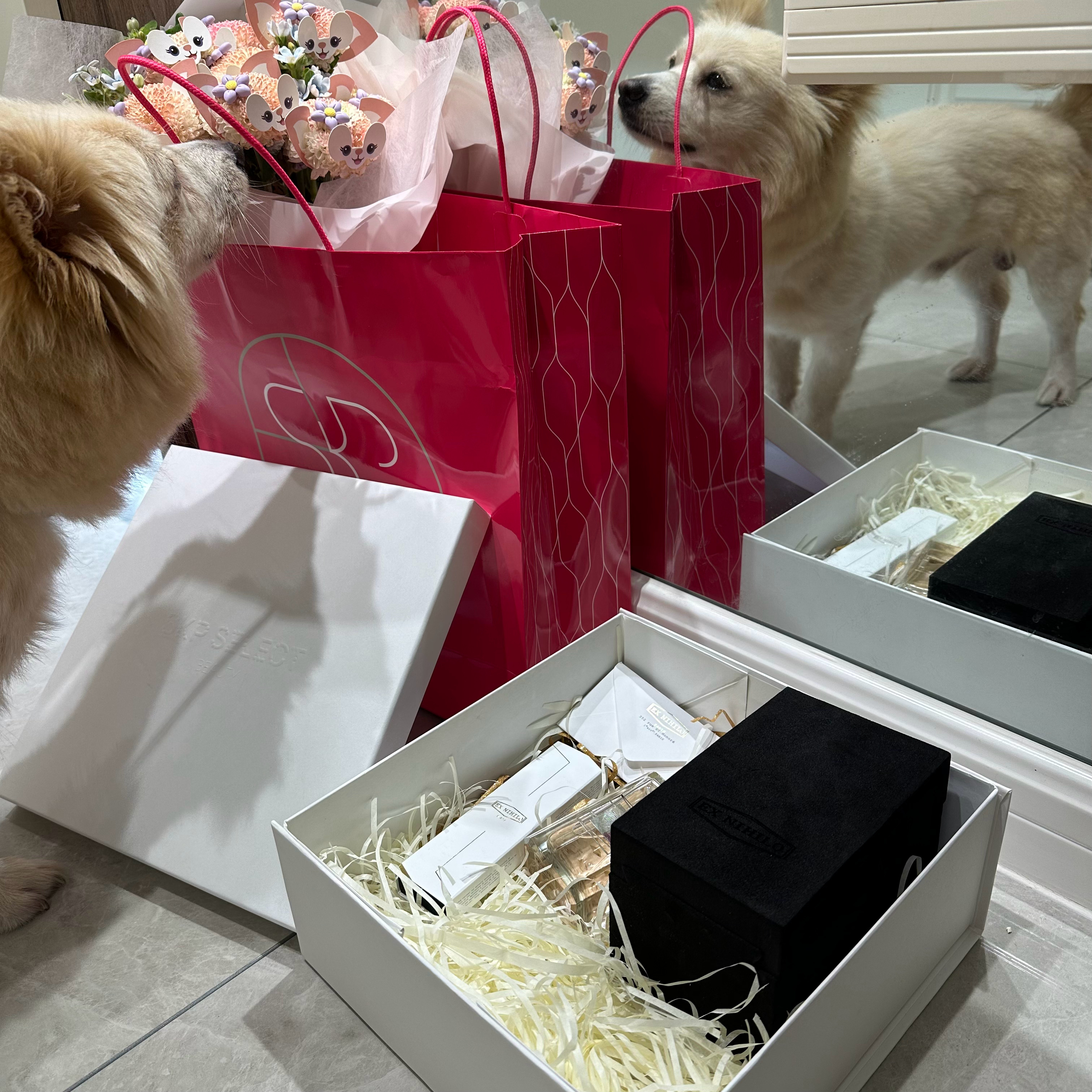 好奇小狗🐶 ​​​