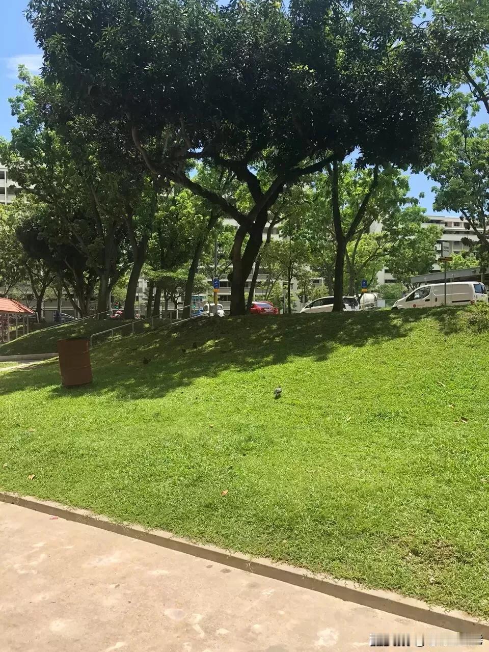 噜噜每天更新3个视频左右，看不到视频的小伙伴可以点我头像进主页看……[谢谢]