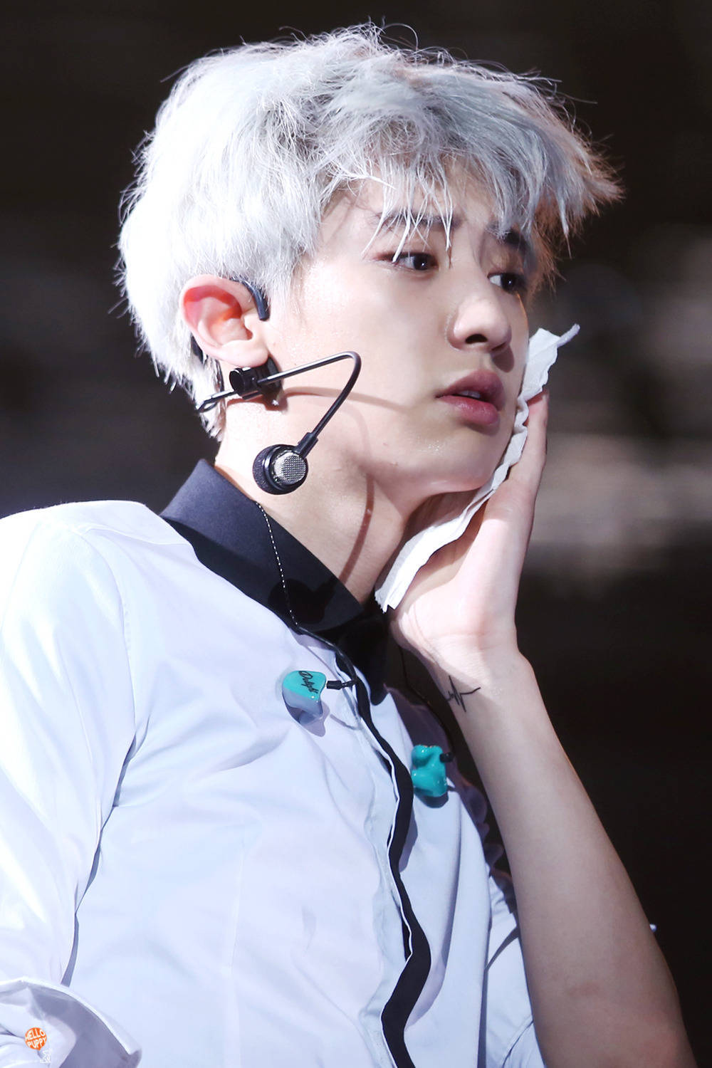 #朴灿烈[超话]#150612 台湾演唱会©hello puppy / two 
