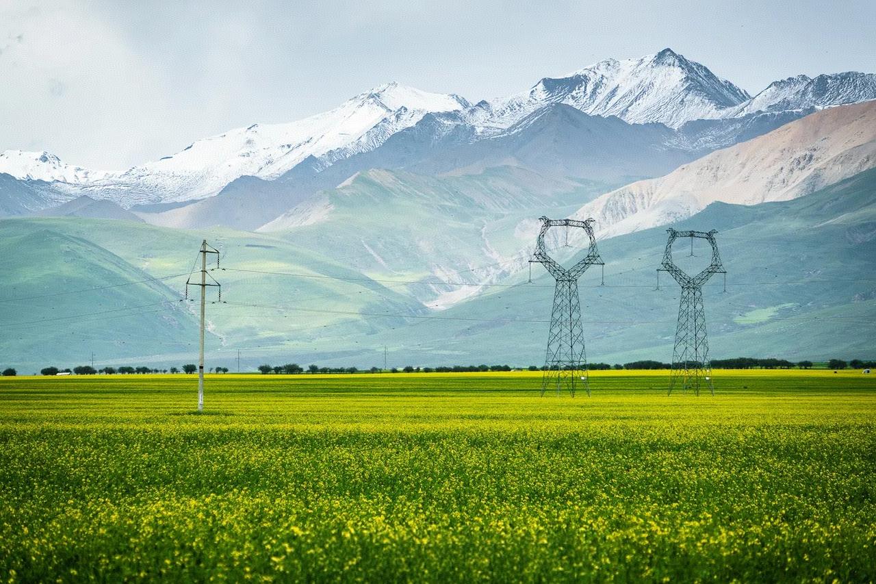 据我观察，这个世界之所以出现了这么多糟心的事情，其主要的原因就是这个世界就是被一