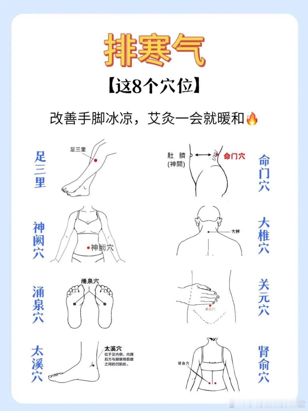 每天跟着小梅医生学养生  女生想改善手脚冰凉怎么办？不妨灸这8个穴位 足三里：改