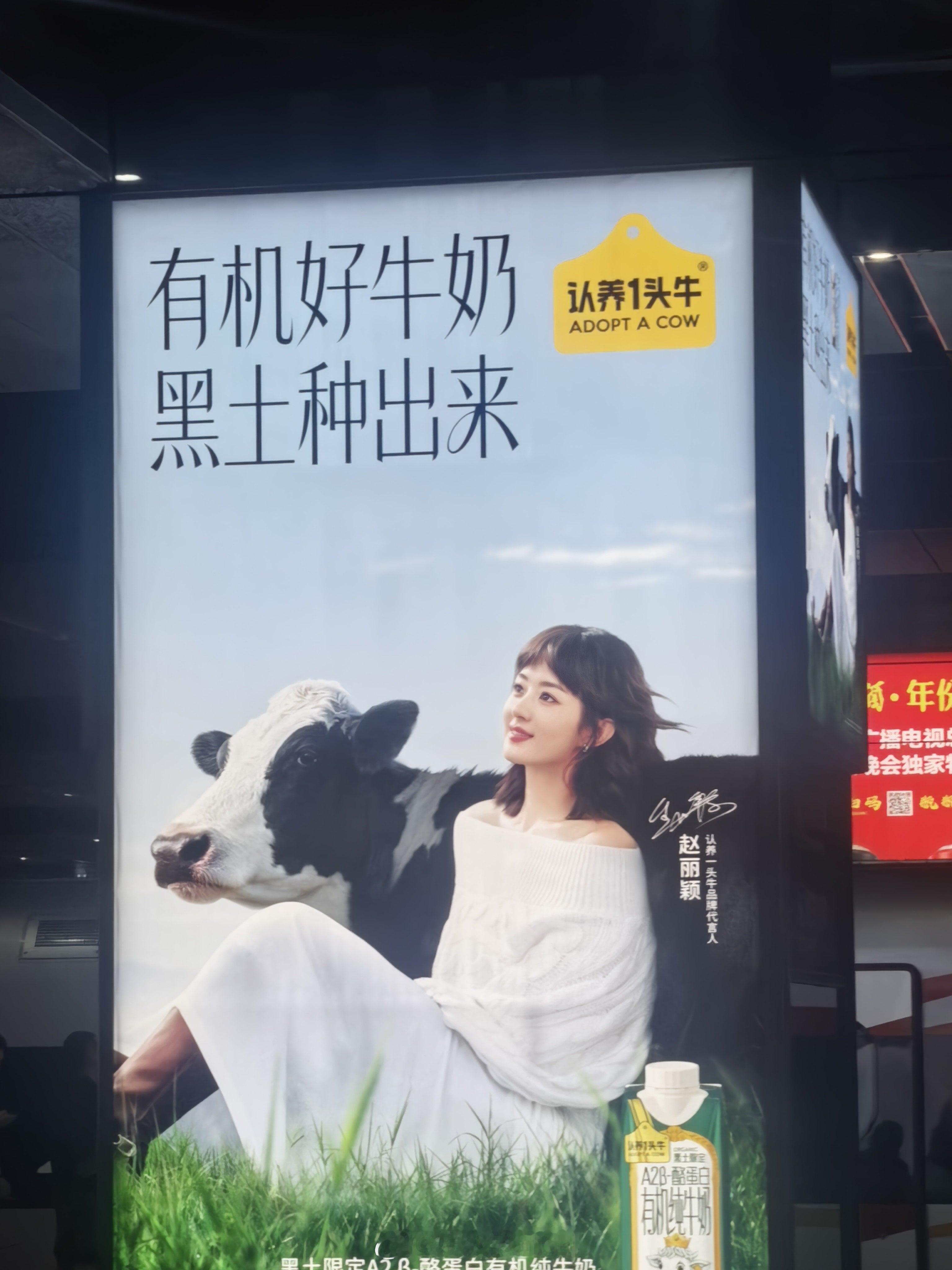 偶遇赵丽颖了 